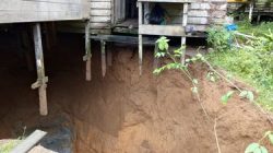 Lubang Besar Muncul di Kolong Rumah, Satu Keluarga di Nunukan Panik