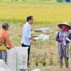 Nunukan Pastikan Stok Pangan Aman, Meskipun Pasokan dari Sulawesi Selatan Terancam Gagal Panen