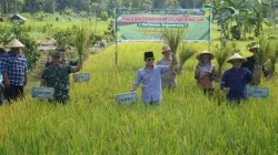 Lapas Kelas IIB Nunukan Kembangkan Pertanian Terpadu, Dukung Swasembada Pangan Nasional