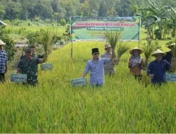 Lapas Kelas IIB Nunukan Kembangkan Pertanian Terpadu, Dukung Swasembada Pangan Nasional